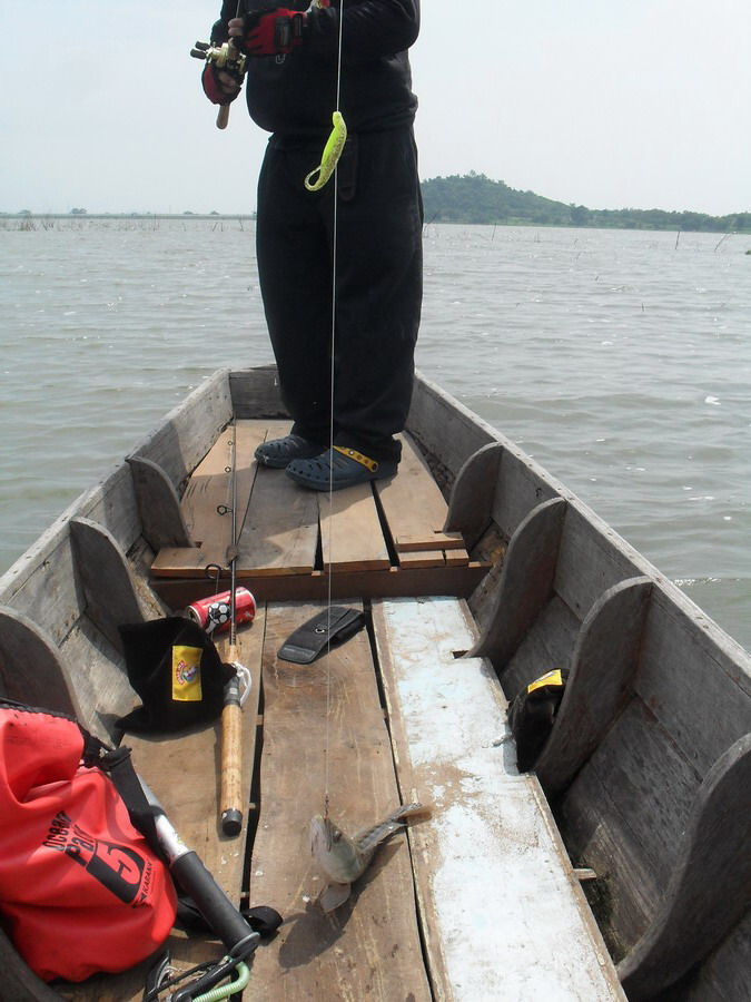 นั่นไงว่าแล้ว โดนกัดอีกจนได้ ยกขึ้นเรือเลยสิเพราะตามมากัดข้างเรือเลยตัวนี้ 

 :love: :love: :love: