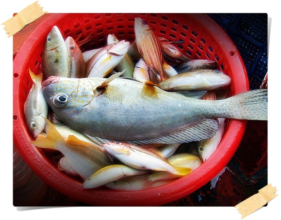 เดินไปดูที่หัวเรือ โอ้โห ตกกันได้เป็นหลัง ๆ เลย ขนาดมาตกกันครั้งแรกนะ น้อง ๆ