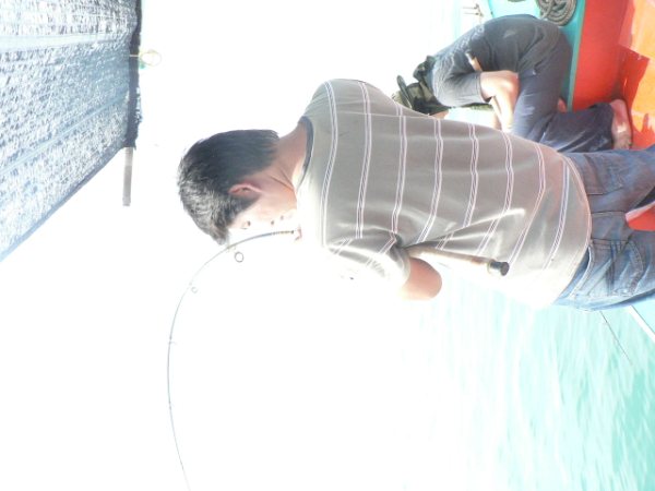 คัน 11 ฟุต  โอ้วเเม่เจ้า เซียนตกปลาบ่อ ชัดๆๆๆ :laughing: :laughing: