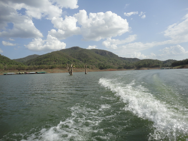 ตอไม้ใหญ่ที่เห็น เท่าที่จำได้ มันอยู่ตำแหน่งวิ่งเรือผ่าน หน้าแพเอกชัย พอดิบพอดี ไม่เคยได้เห็นมาก่อน 