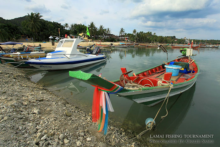 ช่วงนี้ปลาค่อนข้างจะแรงครับ..สำหรับแถบละไม ทำให้ทุกวันนี้หาดละไม มีเรือตกปลามากกว่าสองสามปีก่อนหลายเ