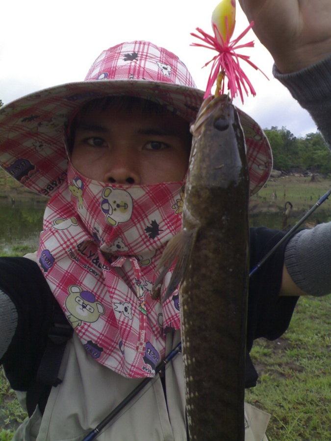 [q] สวัสดีครับน้าkrieng [/q]

ขอบคุณที่ติดตา
