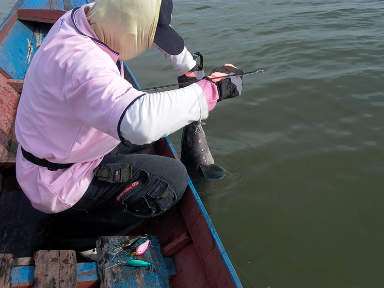 [q][i]อ้างถึง: BULINO posted: 12-06-2553, 16:53:01[/i]

 +1  ตามชม ตา