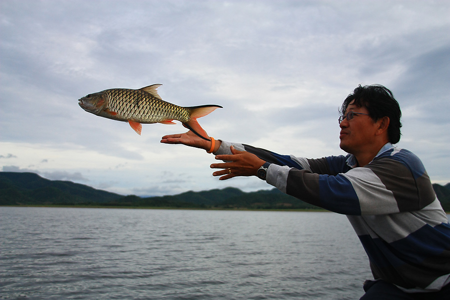 พลังพิฆาตกระสูบเหินเวหาขั้นที่7   ฮึ๊ยยยยยยยยยยยย
 :grin: :grin: :grin: