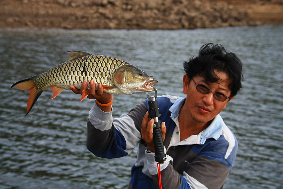 ซ้ำๆ ไปหลายๆ ใบหน่อย กระสูบไซส์แบบนี้   พักหลัง ๆนานๆเจอที...

แต่วันนี้วันโชคดี ป๋ามอสเจอไปแระหลา