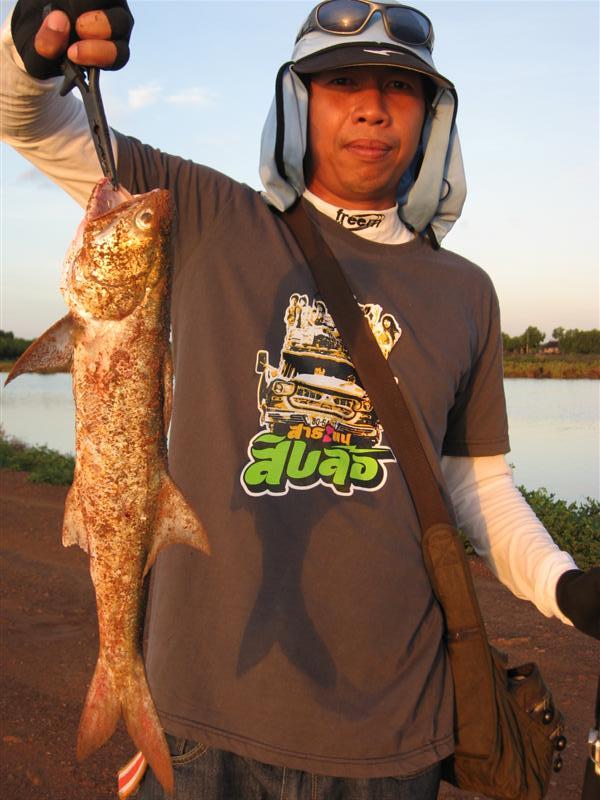 นั่นแน่ เจ้าของอยู่นี่เอง อิอิ  :grin: :grin: :grin: :grin: :grin: :cool: :cool: :cool: :cool: :cool