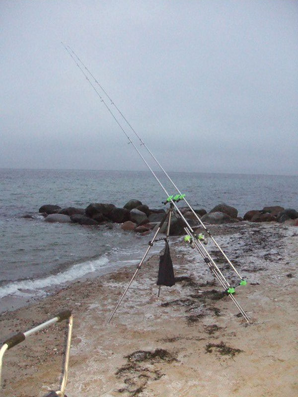 Ah thats shorefishing to dream to. :love:
In Europe, most times it look like this;   