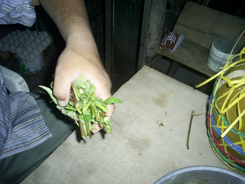 ปากท่านกิน มือท่านกำผักซ่อนไว้กลัว