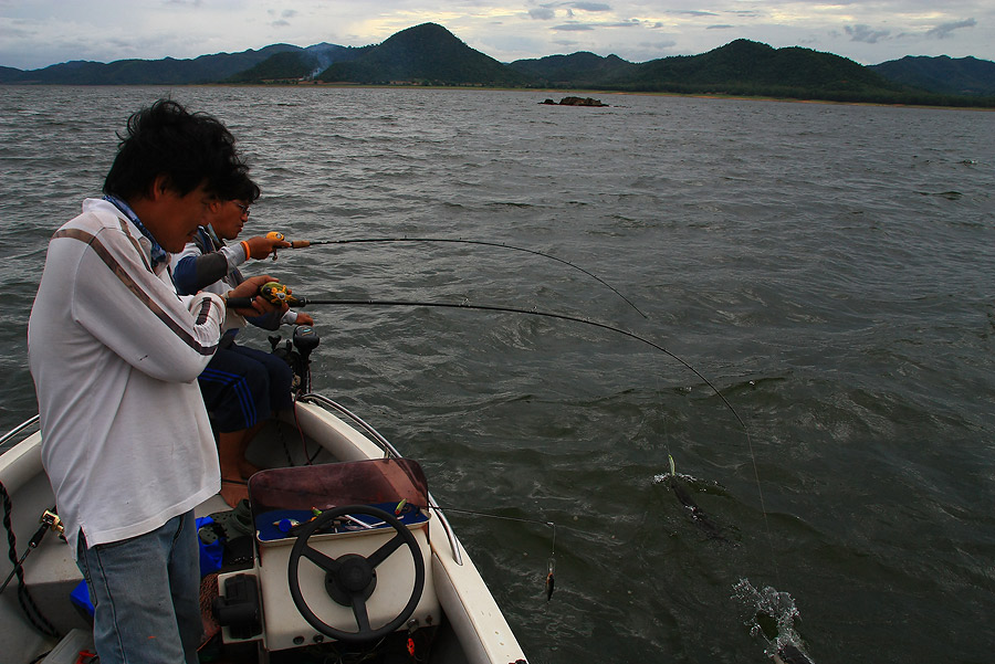 แจ่มมากค๊าบป๋า....พอน้าวิรัช ลงเรือมาปุ๊บบบบ....ปลาก้อไม่กัดเลย..

ไม่กัดเหยื่อของพงเต๊บมาด...กัดแ