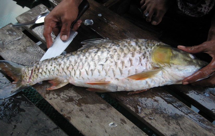 ทำกับข้าวครับ :umh: :umh: