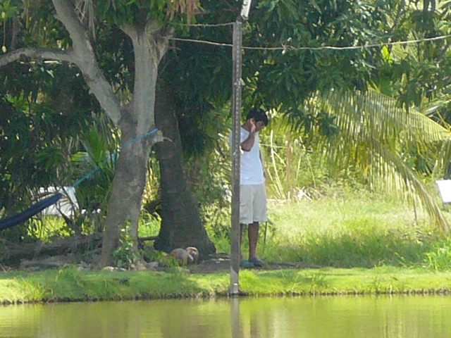 ใกล้งานน้าเต่าแล้วต้องดูแลเป็นพิเศษหน่อย