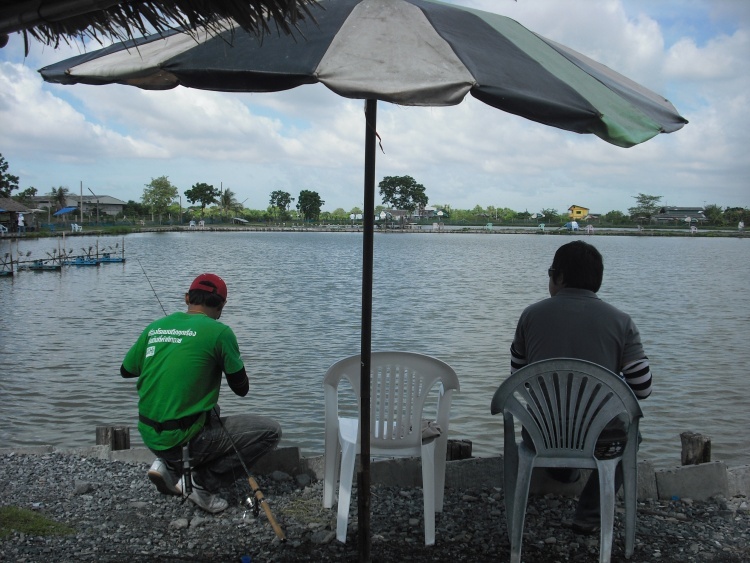 สวัสดีครับน้า...firefishing :smile: :smile: :smile: :smile:
สวัสดีครับน้า...withospital  :smile: :s