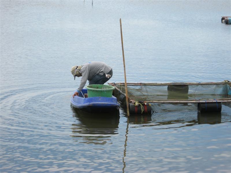 ดูเด๊ะ ตกที่ปลายสะพาน ยังไม่หนำใจ ลงเรืออีกแล๊ะ อิอิ  :laughing: :laughing: :laughing: :laughing: :l