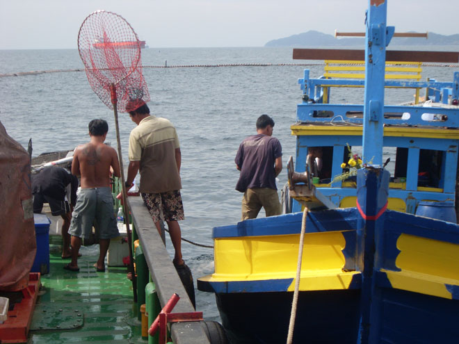 ตื่นๆๆ เรือ มารับ กลับ ฝั่งแล้ว ไม่ร
