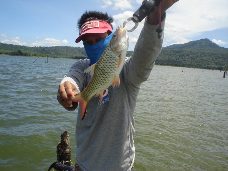 น้ำหนักชั่งเมื่อเช้านี้  3 ขีดก่าๆครับ   :laughing: :cheer: