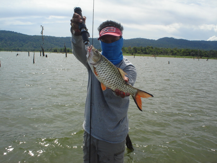  :cheer: :cheer:

++++++++++++++++++



 [q] เรือสวยจังเรยๆๆๆ [/q]
สวัสดีครับ น้า  tidchu  ..