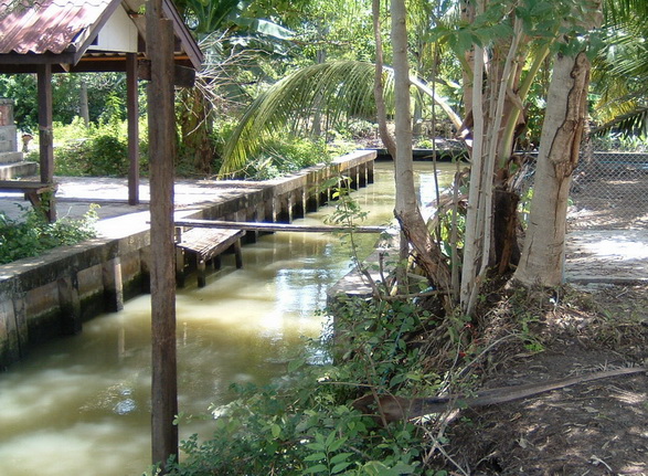 ..คลองด้านหลัง..ผมยืนมองเห็นมีปลาขึ้นเยอะอยู่เหมือนกัน..