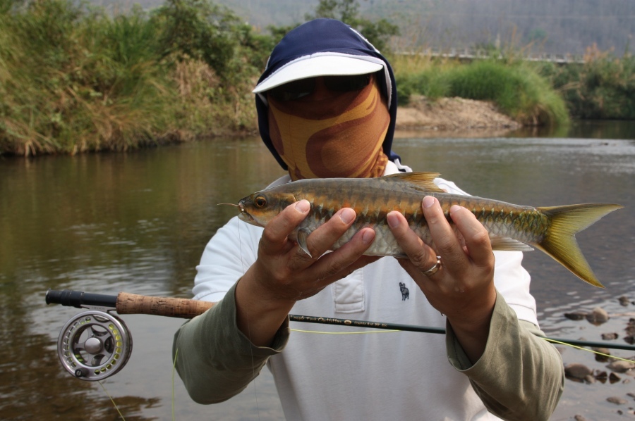 แฮ่ๆๆๆ wonderful fish!!!!