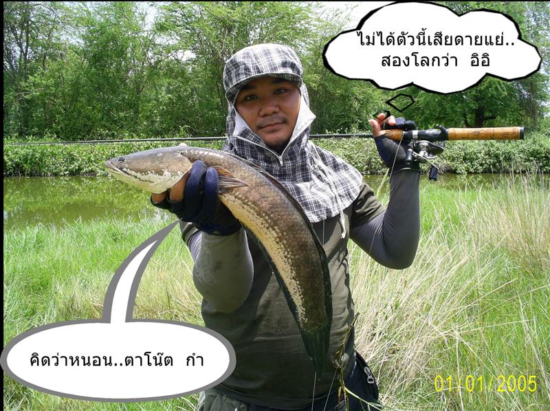 อยากโชว์อ่ะ..จัดไป  น้องบอย..................

กล้องผมจบที่แค่นี้ครับ  เพราะว่า ไม่อยากตากแดดเยอะ 
