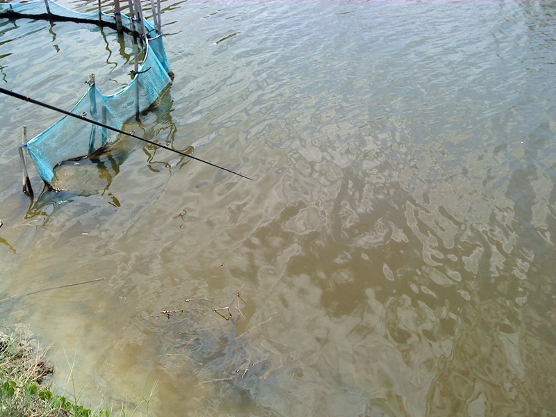 รูปก่อนเกิดเหตุ