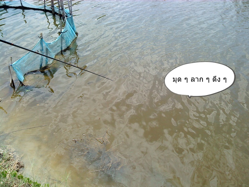 อิอิ 