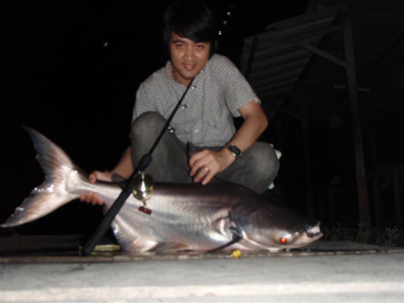 [q][i]อ้างถึง: jackky posted: 16-06-2553, 10:04:42[/i]

สวัสดีครั