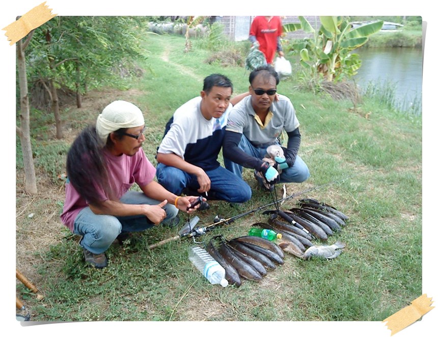 อีกมุม 