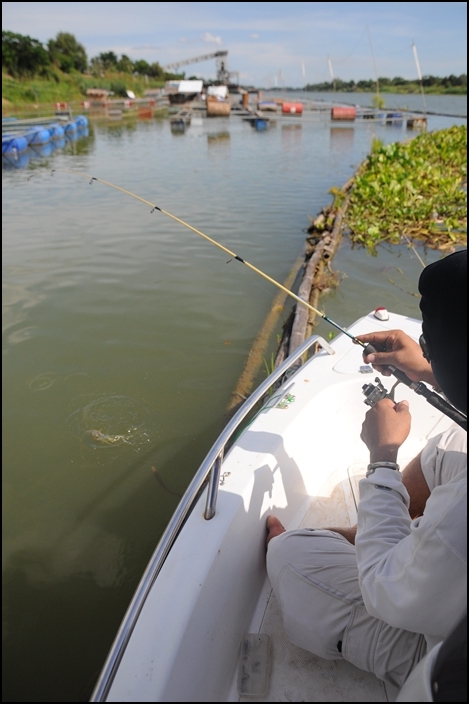 มาอีกแล้ว...สงสัยกุ้งมันมีอยู่เฉพาะ