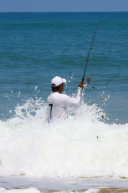 ด่วน... คำเตือน!! สำหรับการ Surf Fishing