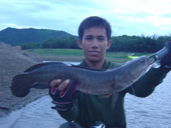 ตกเย็น ปิดท้ายด้วยปลาช่อนจิบของใต๋