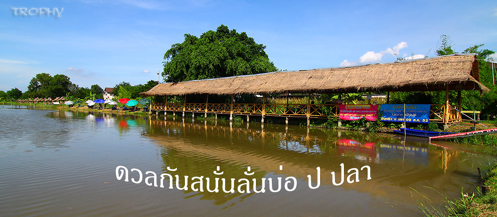 @ ดวลกันสนั่นลั่นบ่อ ป ปลา @