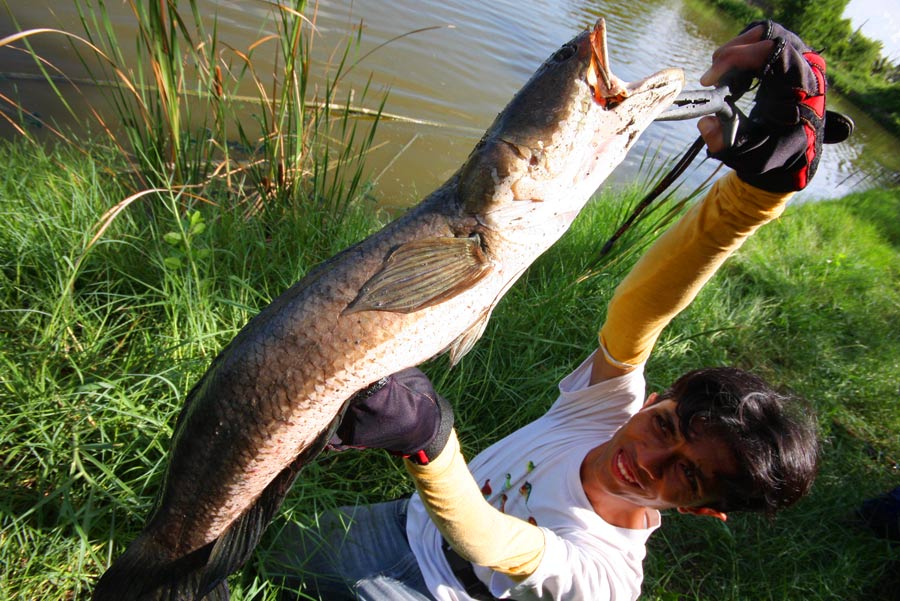 รีบๆเข้าบ่ายแล้ว น้าเอ็มบอกเอาปลาไปขายก่อน