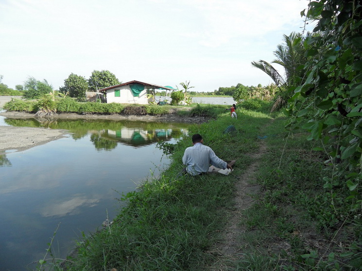 ตะวันเริ่มตกดินครับ    ได้นั่งเล่นกันบ้างแล้วครับ