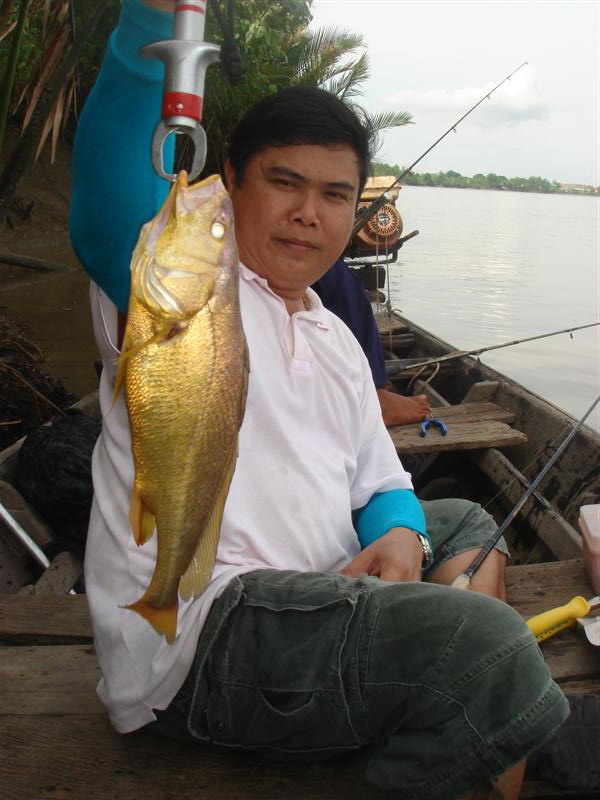 ตัวเดิม เอาใหม่อีกรูป......เมื่อกี๊ปลามันดิ้นหางงอ ไม่สวย  :laughing: :laughing: :laughing: :grin: