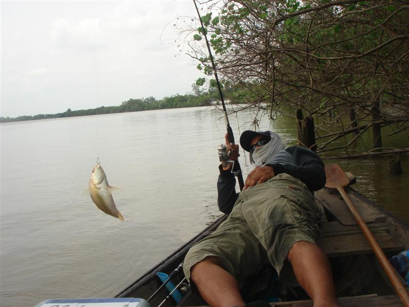 ขอบคุณครับ
น้า [b]fishingjoke [/b]
น้า [b]catska[/b]



แล้วเค้าก็   นอนนนนนนน เออ มันช่างเป็น