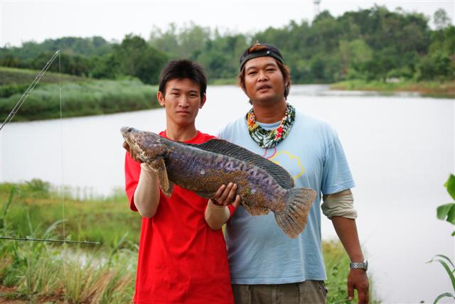 [q][i]อ้างถึง: เอ๋พะเยา posted: 22-06-2553, 21:12:02[/i]

+++คั