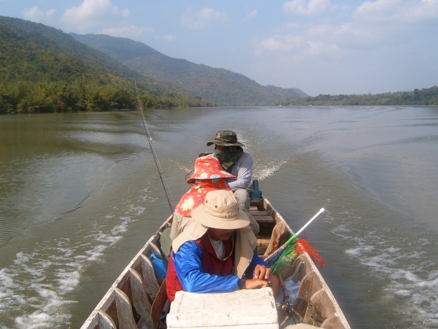  ตีไปตีมา...เจอ ง สะระอู งูเหลือม มุดน้ำเห็นเม็ดฟองในน้ำเป็นสายตรงมาหาเรือ
กลับสิคร้าบบบ....ตกจายย.