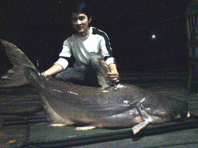 [q][i]อ้างถึง: beuty posted: 24-06-2553, 14:06:07[/i]

+++เเจ่มเลย jackky++++

++ :cheer: :cheer