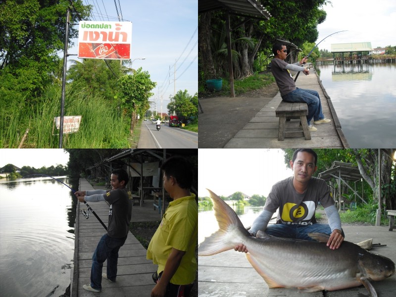 ขอขอบคุณน้าๆทุกท่านที่เข้ามาเยี่ยมชมครับผม   :cheer: :cheer:

ลากันไปด้วยภาพนี้ละกันครับ

สรุปผล