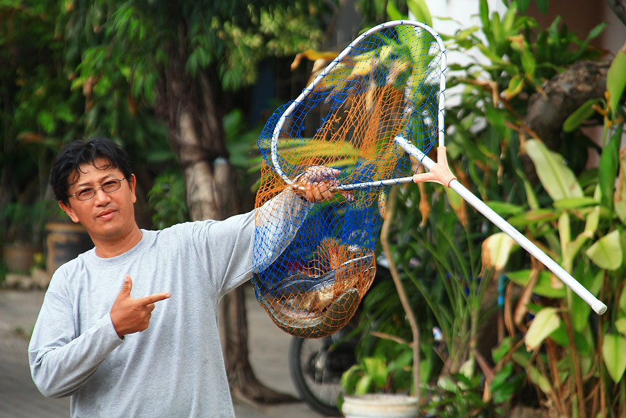 สวัสดีค๊าบบบบ...น้าpanu2498..น้าTom Korat 
 :smile: :smile: :smile:
------------------------------