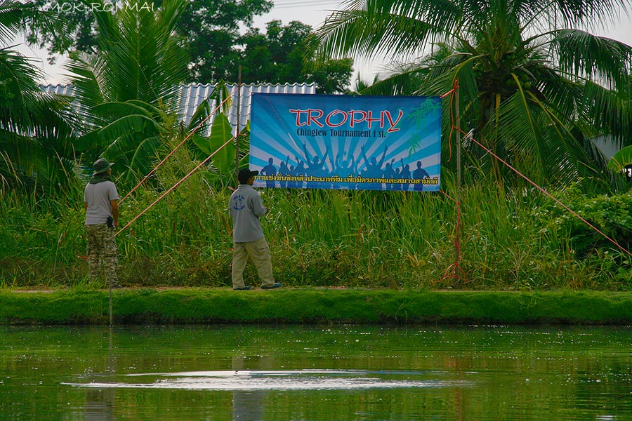 ด้านในริมบ่อก็ต้องประดับตกแต่งงานกันอย่างเร่งด่วนเหมือนกัน