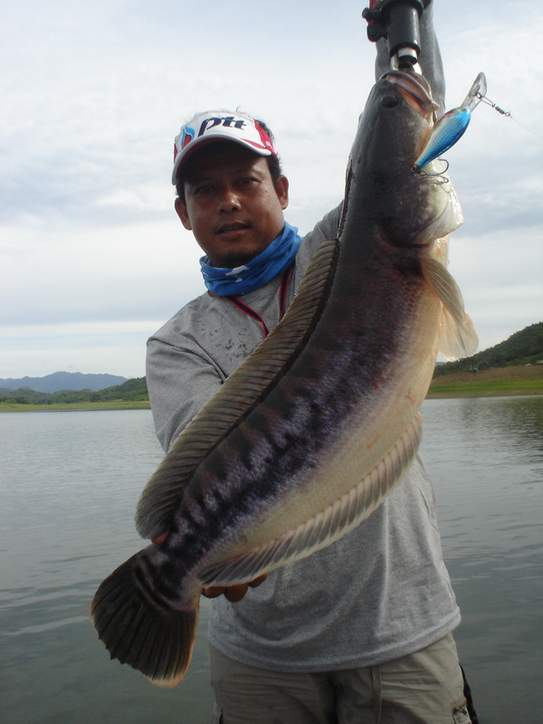 ปลาตัวเดียวกะถ่ายให้เต็มเมมเลย  :laughing: :cheer: