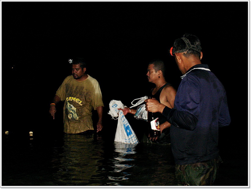 หลังผ่านไปเกือบครึ่งชั่วโมง..เราพักเหนื่อย แวะปรึกษาปัญหาจะเก็บปลาลิ้นหมา ที่ติดอวนอยู่มากมาย

 [b
