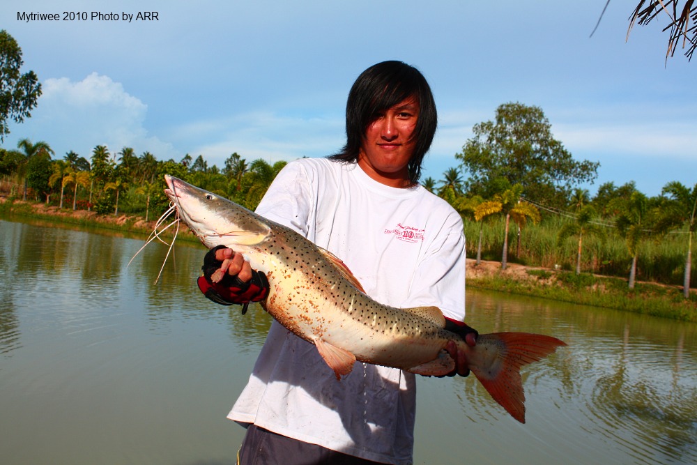 ไทเก้อร์ตัวขนาดนี้แรงสุดยอด :grin:
________________________________
สวัสดีครับน้า [b]somjitp2009[/