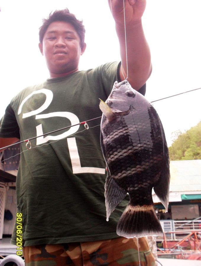 ใหญ่นะ :cool: :cool: