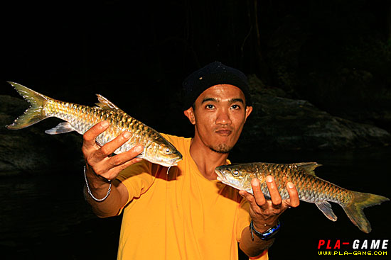 หลวงพี่บิก จัดมา 2 หน่วย