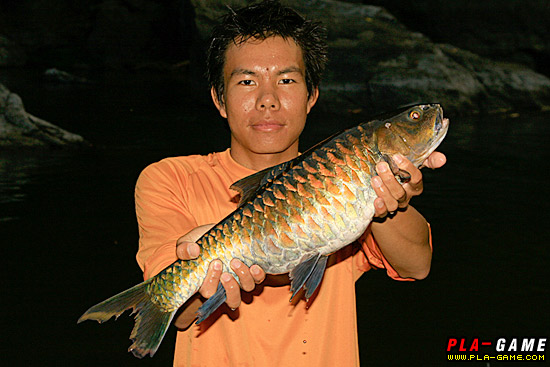 เขตบอกขออีกภาพครับ 