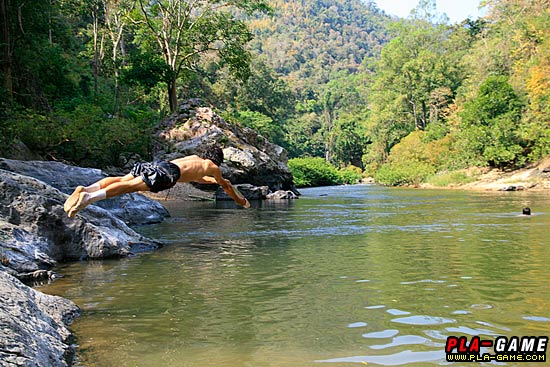 action จานเป็ด