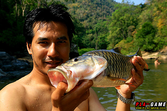 action น้าโก้