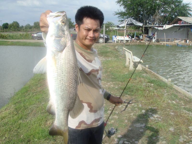 -รอกSHIMANO TWINPOWER C3000
-คัน G-LOOMIS IMX :smile: